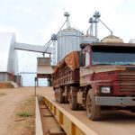 Truck,On,A,Scale,With,A,Load,Of,Soybeans,In