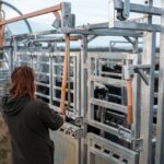Female,Farmer,On,A,Farm.,Women,In,Agriculture,Working,Hard