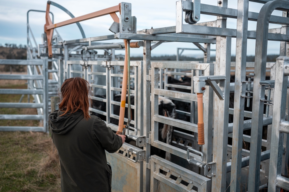 Female,Farmer,On,A,Farm.,Women,In,Agriculture,Working,Hard