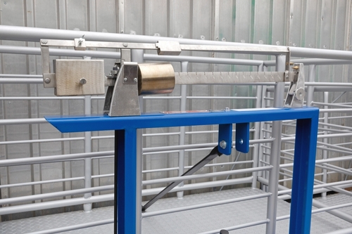 Big,Scale,With,Cage,For,Livestock,Animals,Farm,Equipment