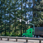 Green,Bonnet,Big,Rig,Semi,Truck,With,Tented,Black,Dry