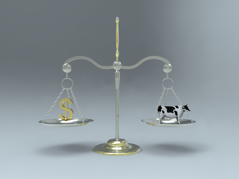 3d,Illustration,Of,A,Scale,With,Money,Symbol,And,Cow